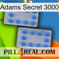 Adams Secret 3000 20